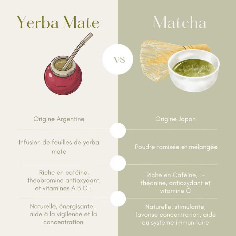 Yerba mate vs thé matcha